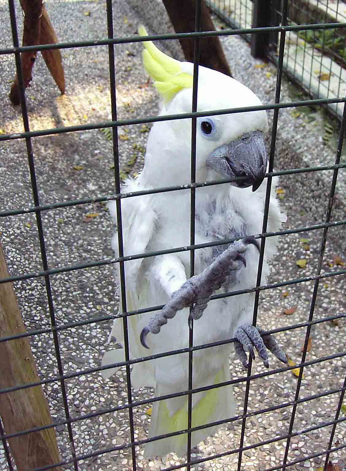 握手?握腳?