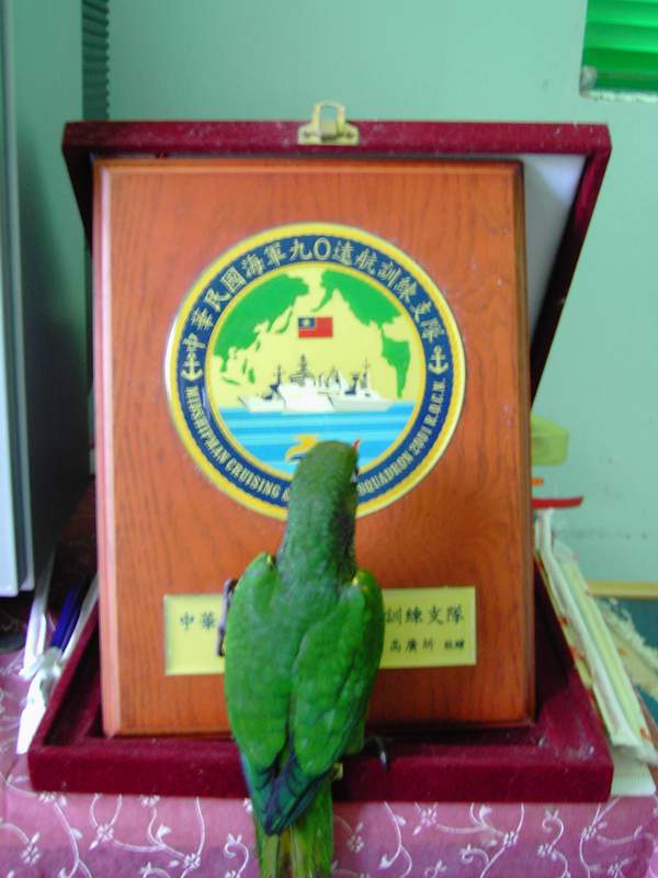 我好想喔真的很想...
