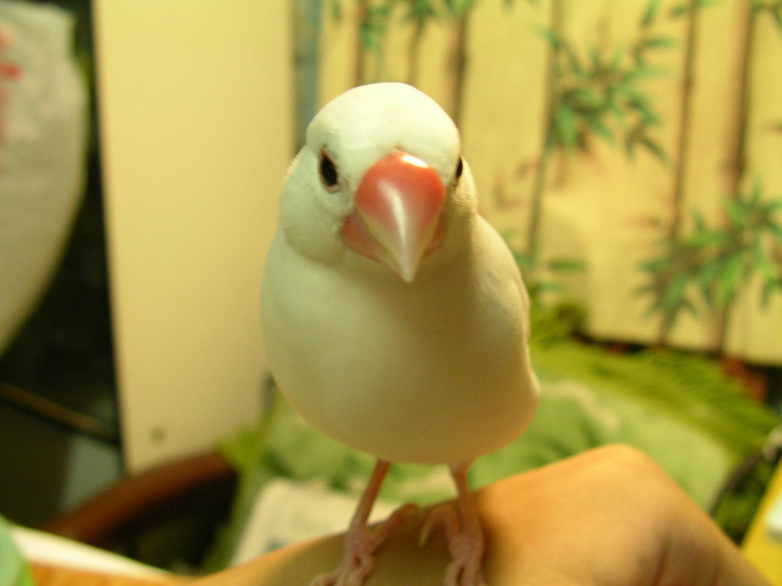 丸丸哥!~~怎麼站都帥~~