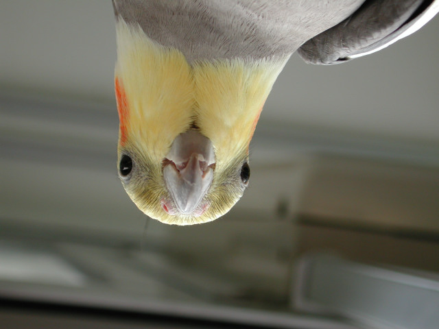 鳥瞰~~