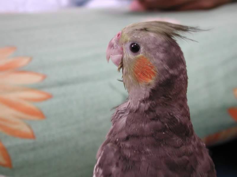 在看啥?