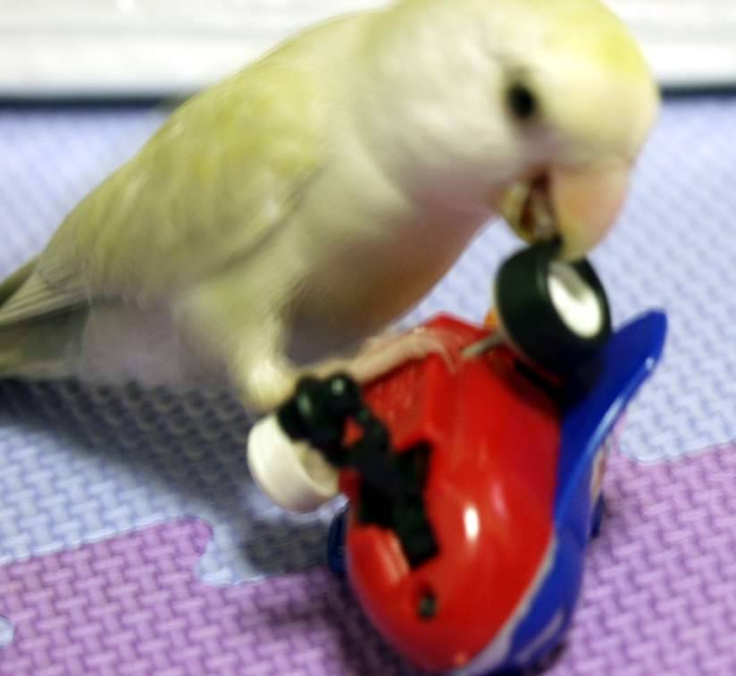 修車老闆