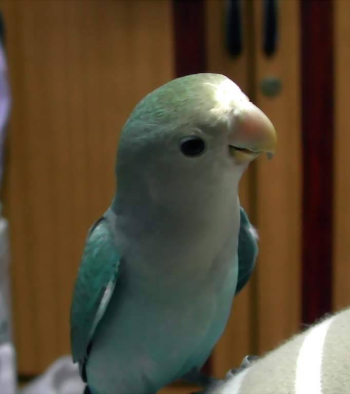 聊八卦
