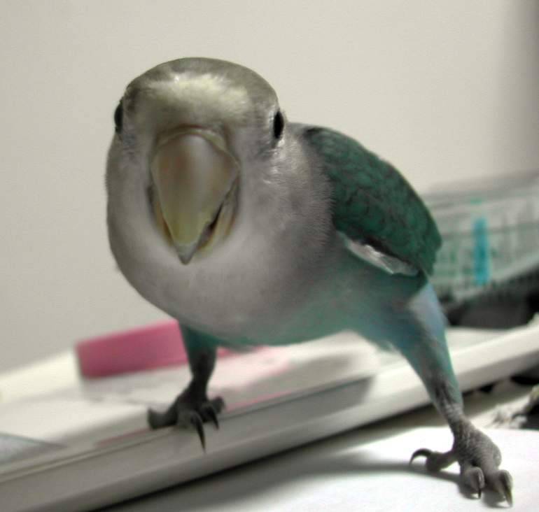 hi!baby~你好阿~