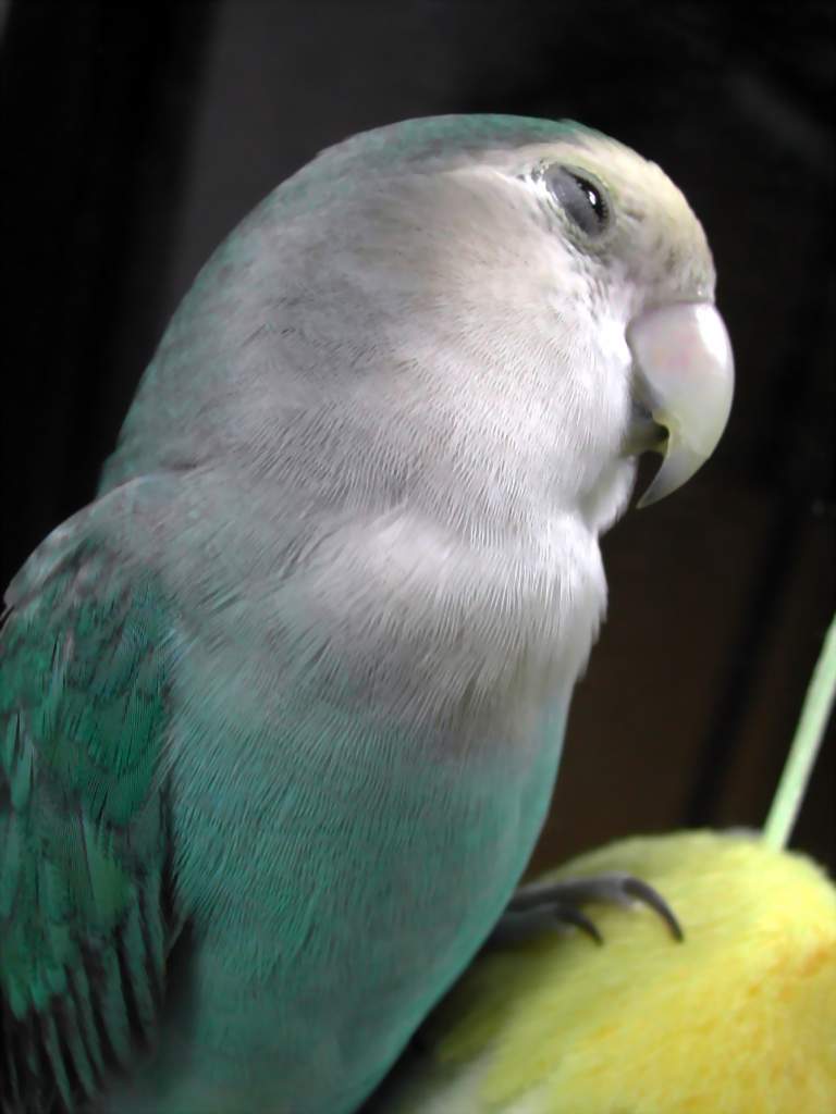 炎炎夏日度咕去