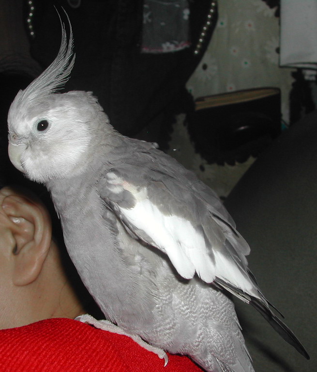 Photo 22270