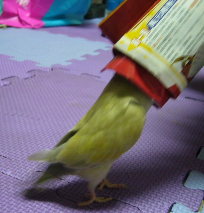 哈囉 有人在嗎