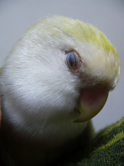 睡著了