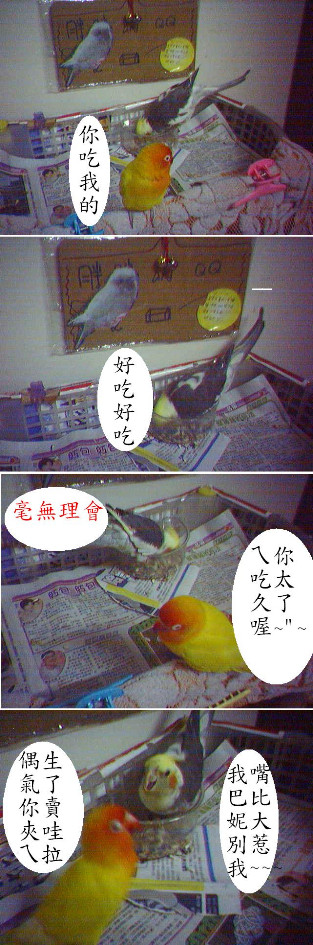 吃吃吃~