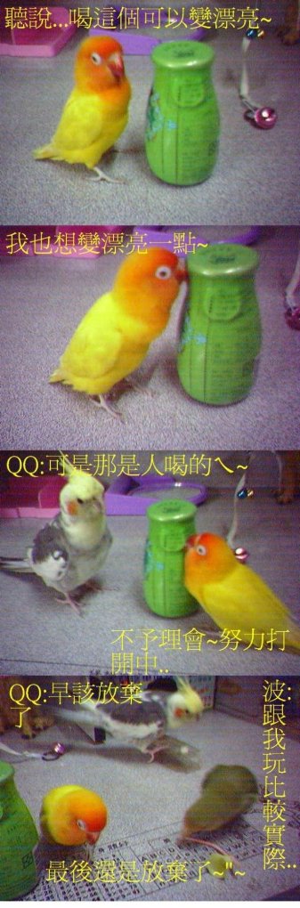 小胖想變漂亮篇