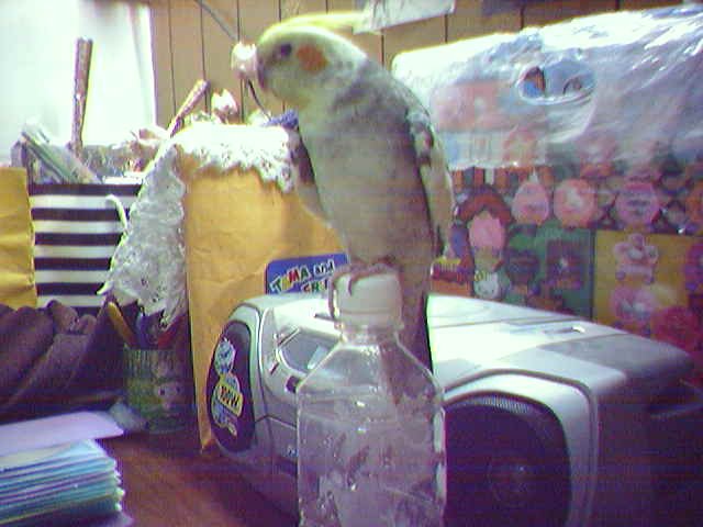 人家要喝水拉~