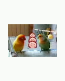 想吃丸子