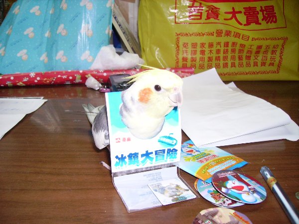 我也要來去冒險拉