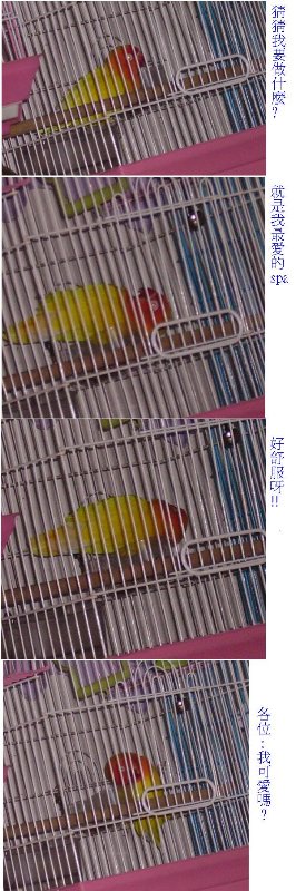 愛spa的小胖^^
