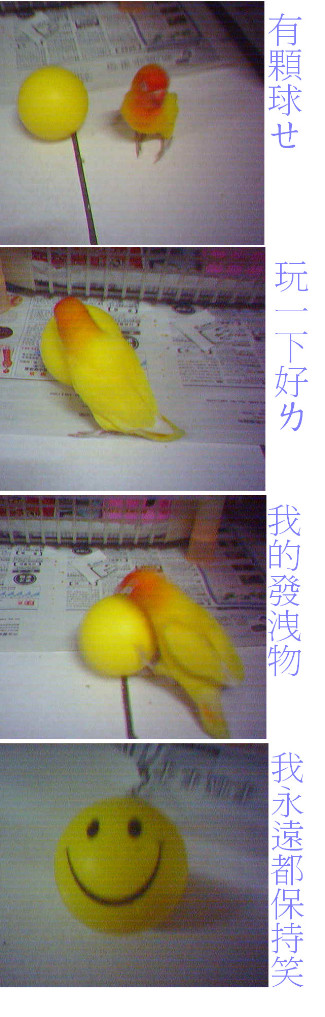 我愛玩球