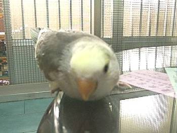 我肚子餓了!