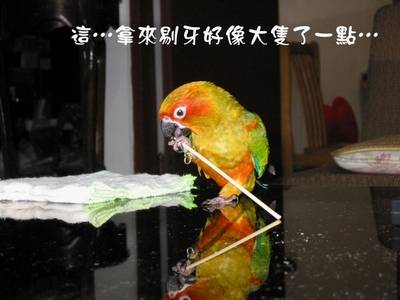 剔牙？？