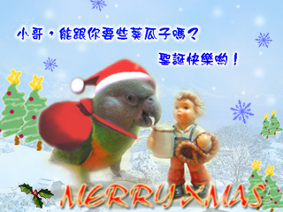 送耶誕禮物的小賽內