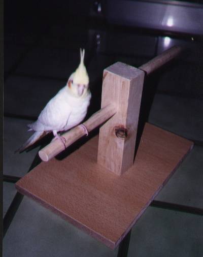 站架2