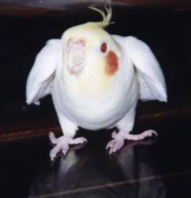 最愛蹲著