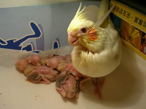 我也要