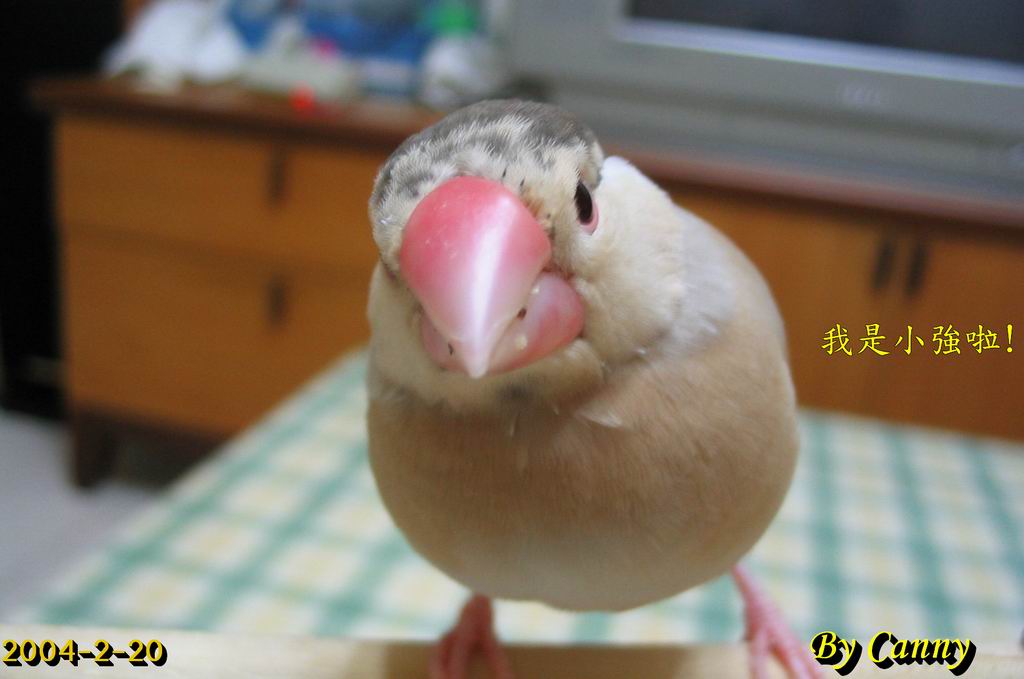 我長大囉