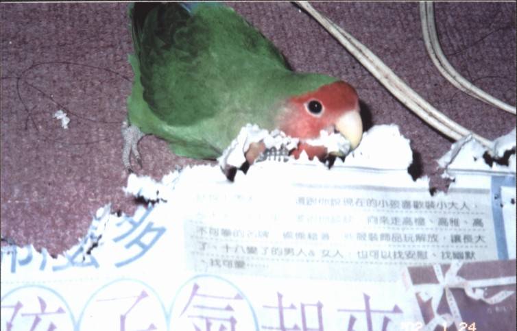 咬咬咬....我咬