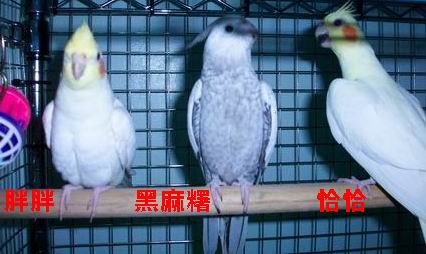 很煩耶...