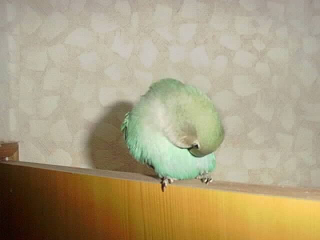 整理....