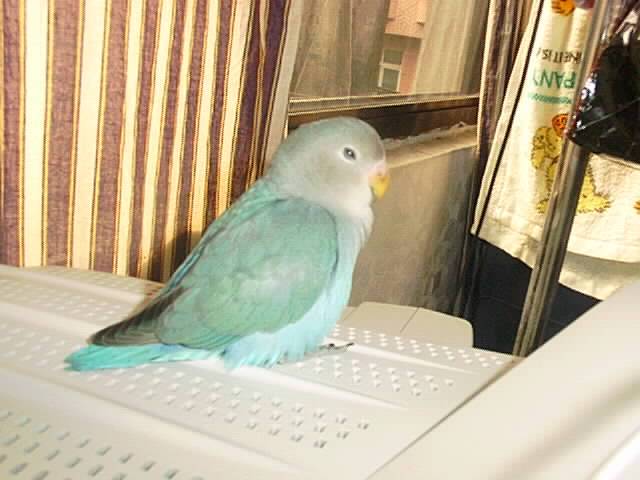 想睡zzz