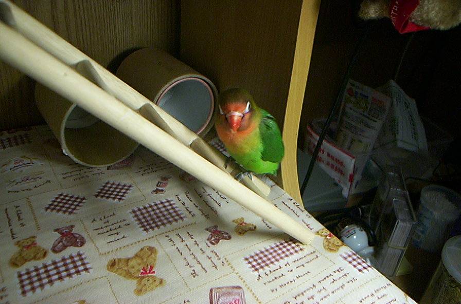 爬樓梯
