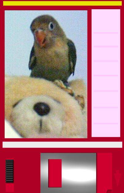 Photo 7856