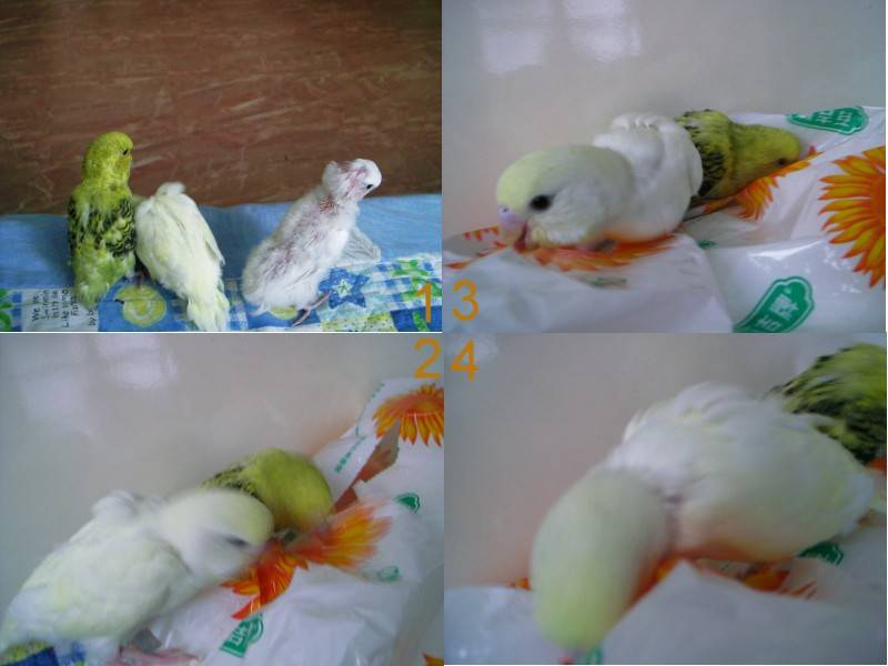 好無聊唷~