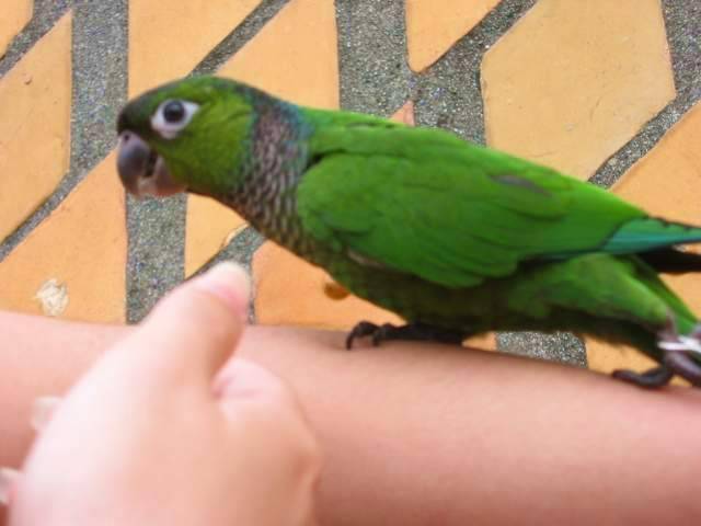 唉油>.<