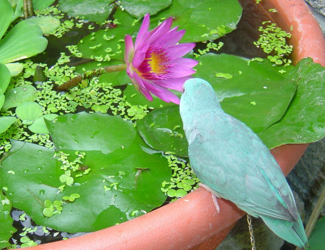 採花賊~~~