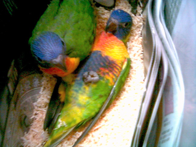 Photo 26389