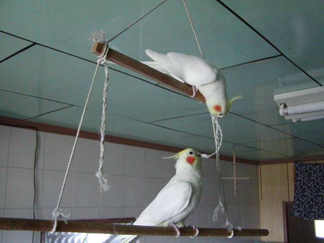真好吃..