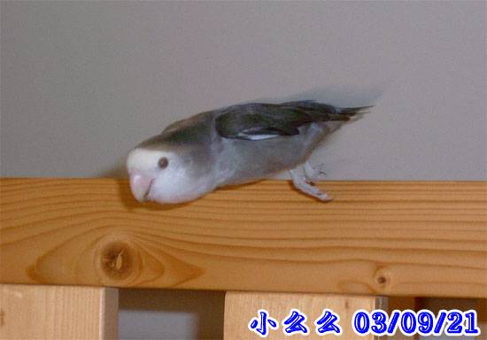 起飛瞬間