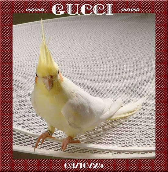 玄鳳藝術照3