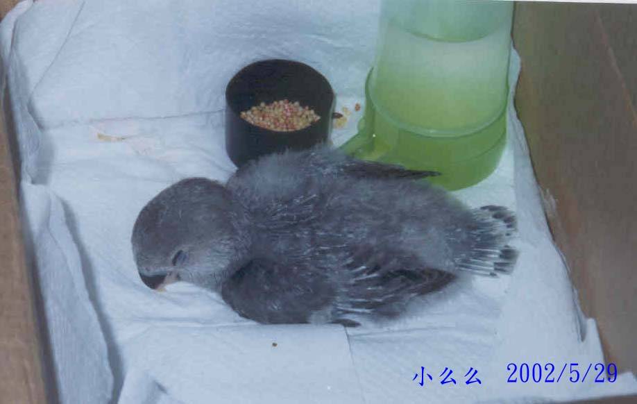 睡覺
