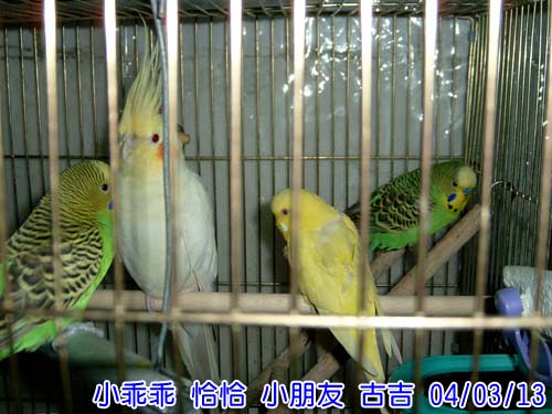 阿蘇兒
