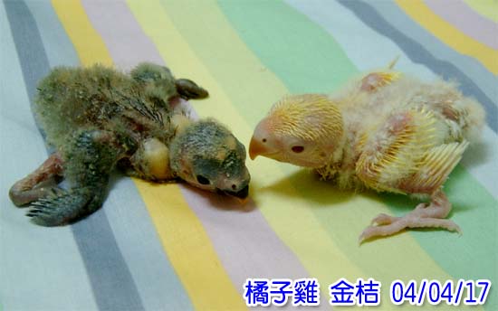 答案揭曉