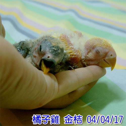 形影不離
