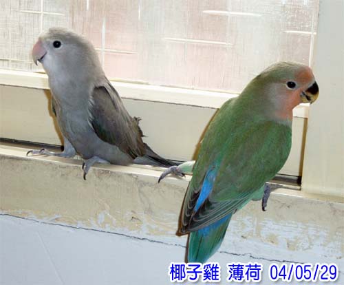 不倫之戀....