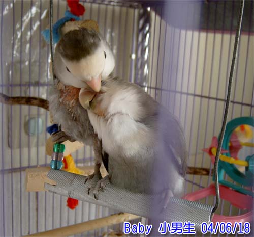 晃站之光與愛妻