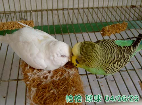 親親~~親親
