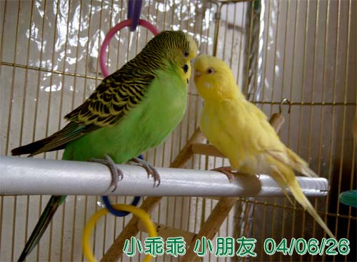 嫁給我吧!!