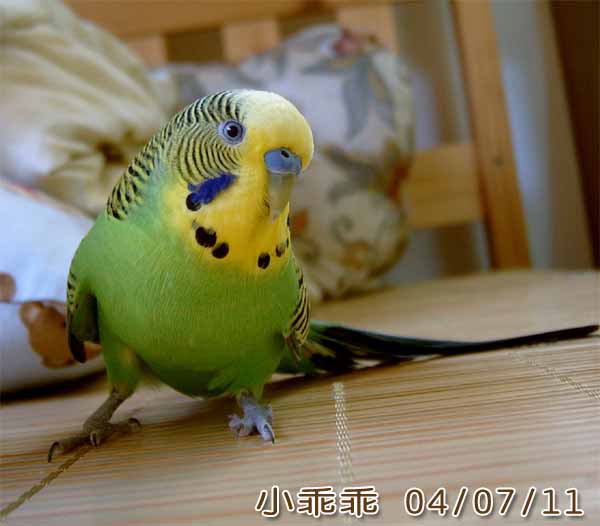 我是名模
