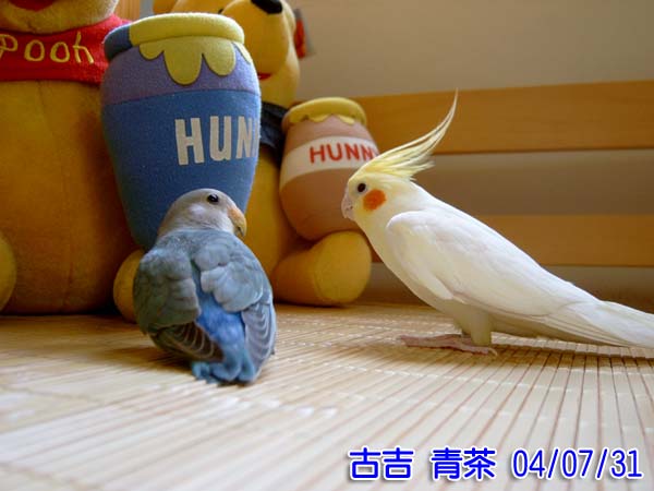 無聲勝有聲