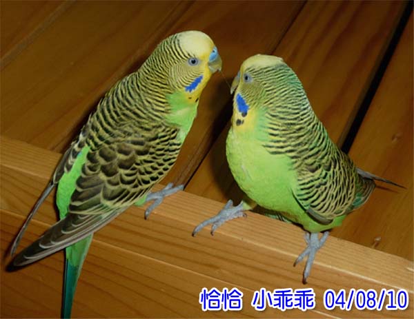 ♥情人♥藕斷絲連........